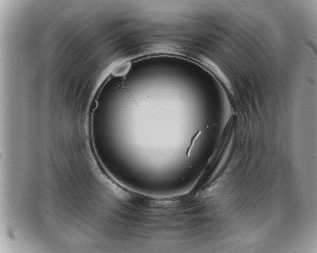 X0000095911339200801181347