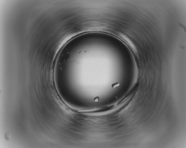 X0000095911340200801181347