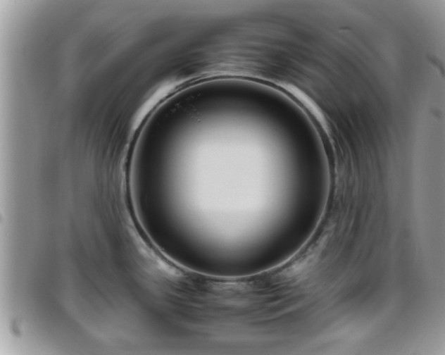 X0000095911341200801181347