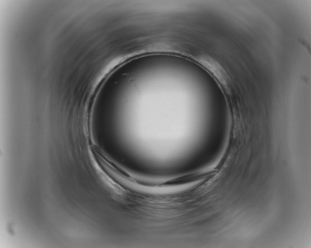 X0000095911342200801181347