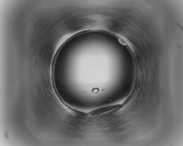 X0000095911343200801181347