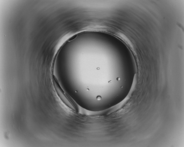 X0000095911344200801181347