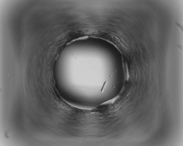 X0000095911345200801181347