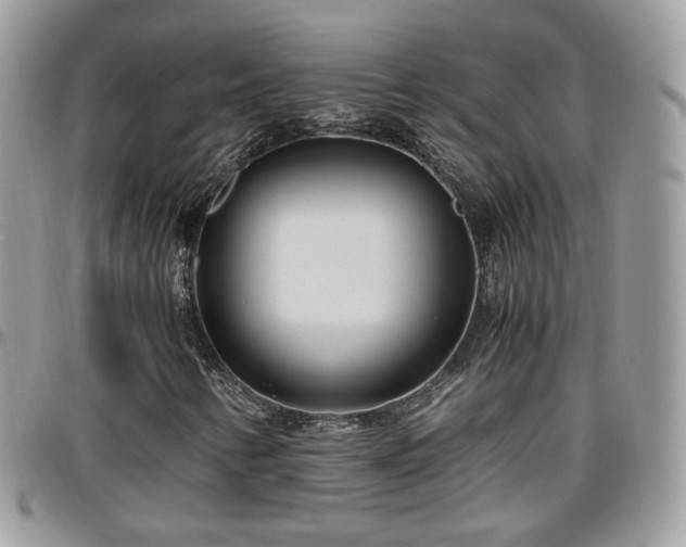 X0000095911346200801181347