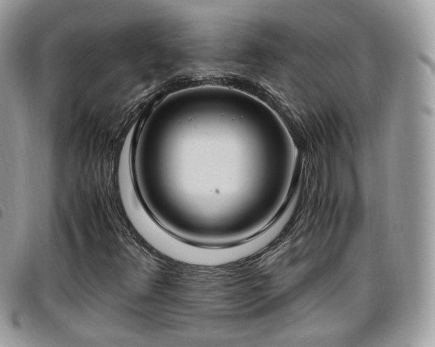 X0000095911348200801181347