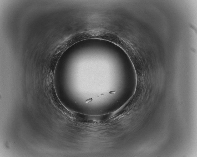 X0000095911349200801181347