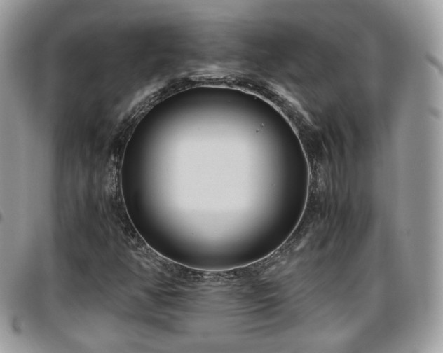 X0000095911350200801181347