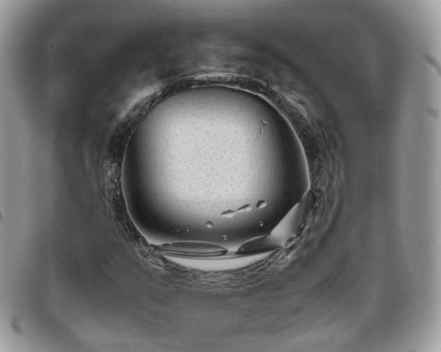 X0000095911351200801181347