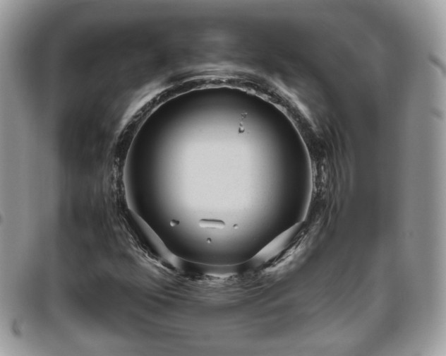 X0000095911352200801181347