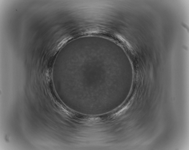 X0000095911353200801181347