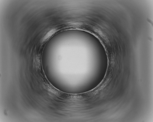 X0000095911354200801181347