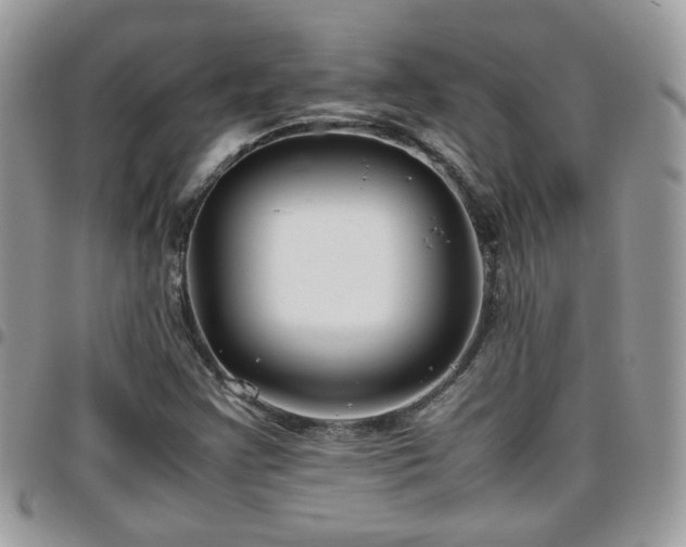 X0000095911355200801181347