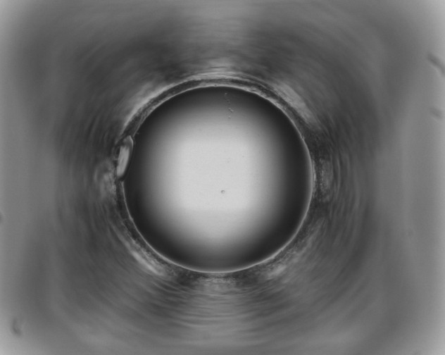 X0000095911356200801181347