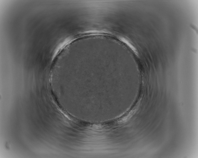 X0000095911357200801181347