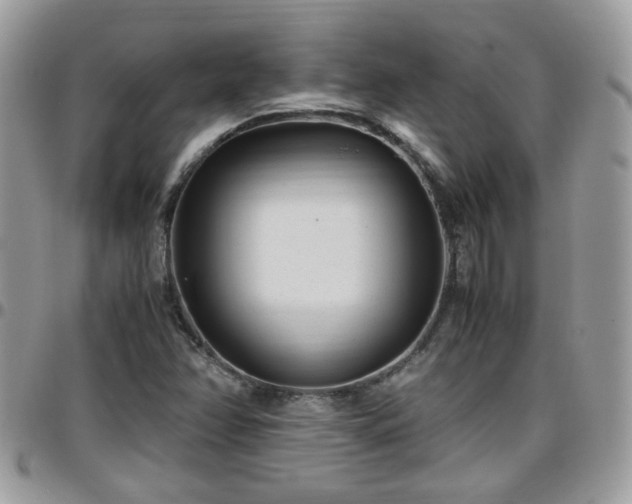 X0000095911358200801181347