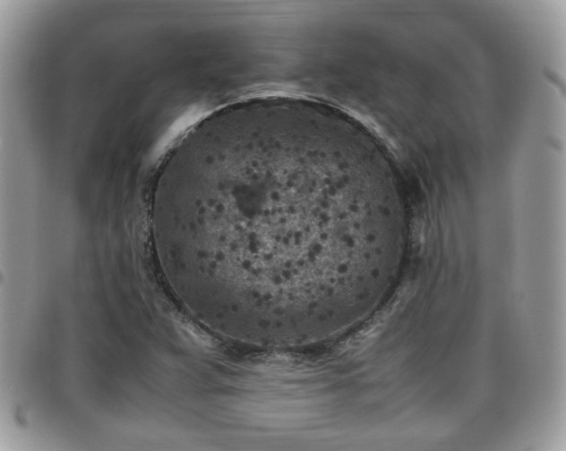 X0000095911359200801181347