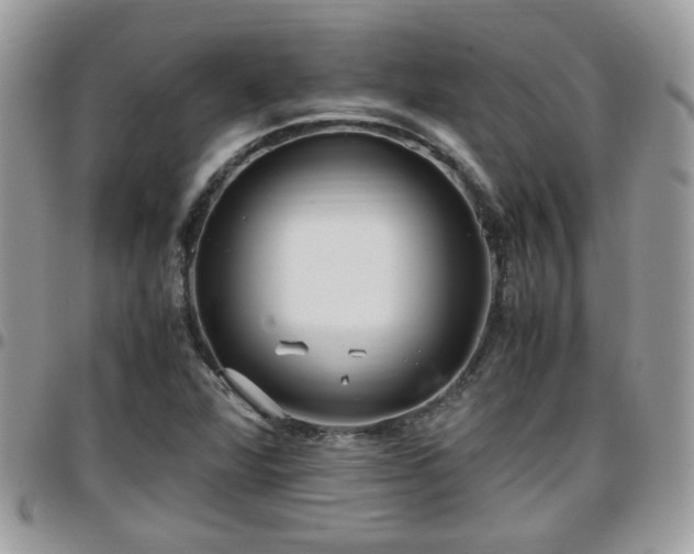 X0000095911360200801181347