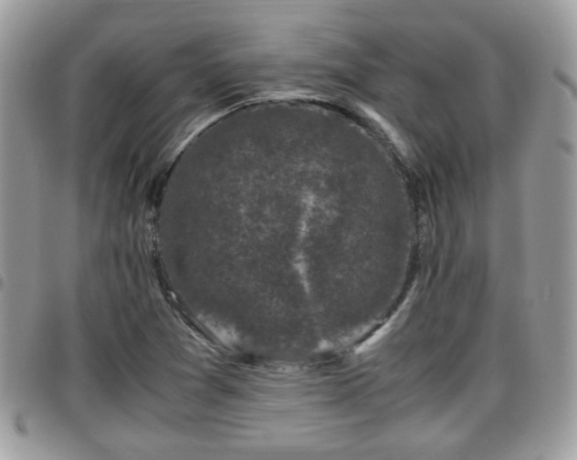 X0000095911361200801181346