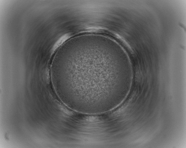 X0000095911362200801181346