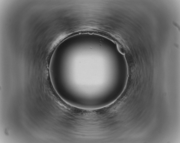 X0000095911363200801181346