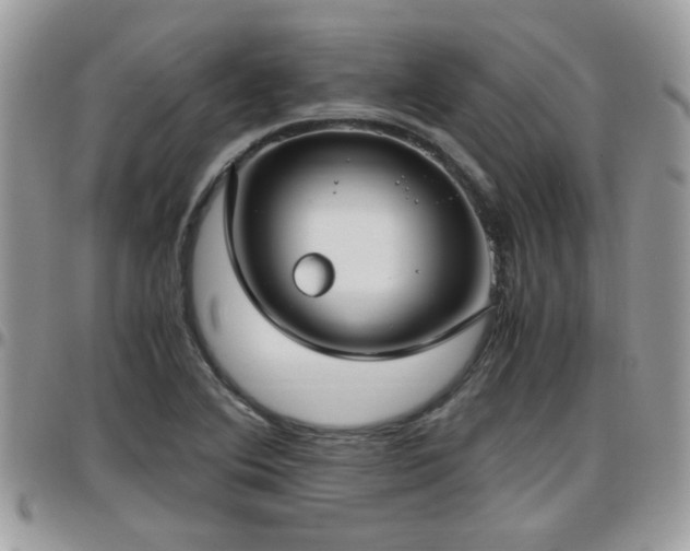 X0000095911364200801181346