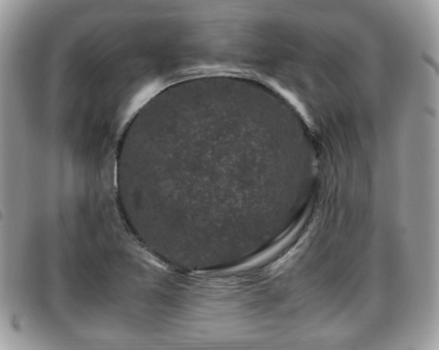 X0000095911365200801181346