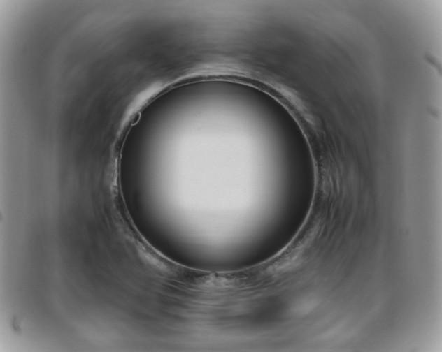 X0000095911366200801181346