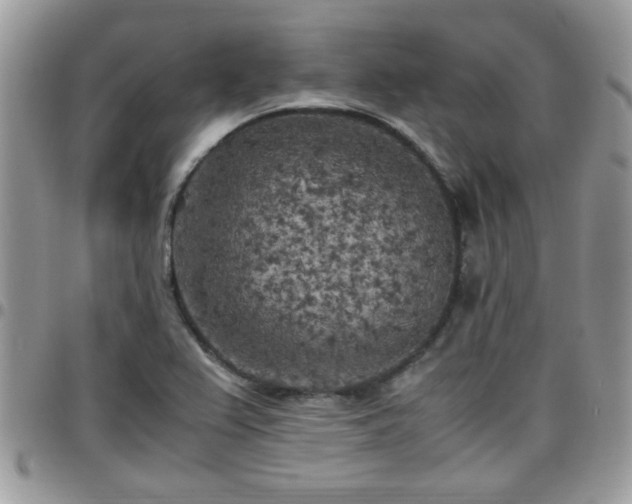 X0000095911367200801181346