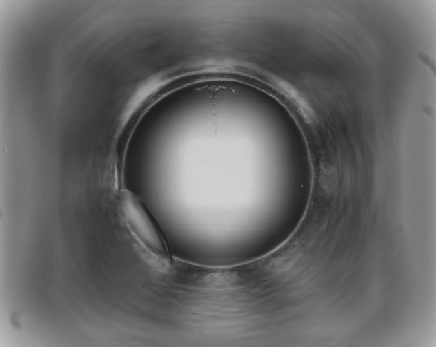 X0000095911368200801181346