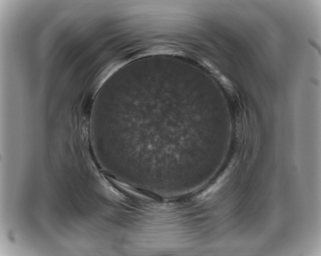 X0000095911369200801181346