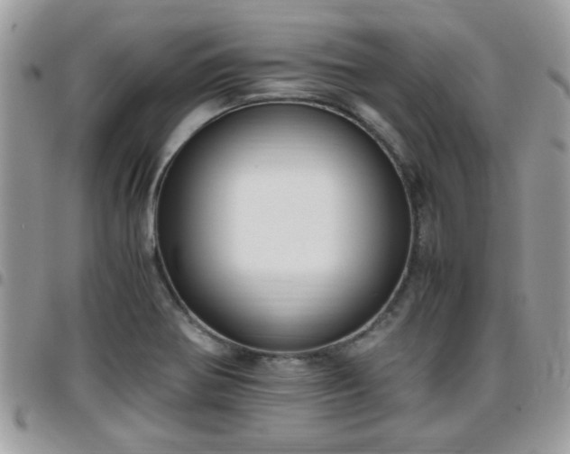 X0000095911370200801181346