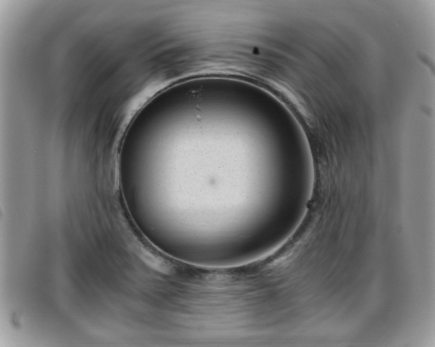 X0000095911371200801181346