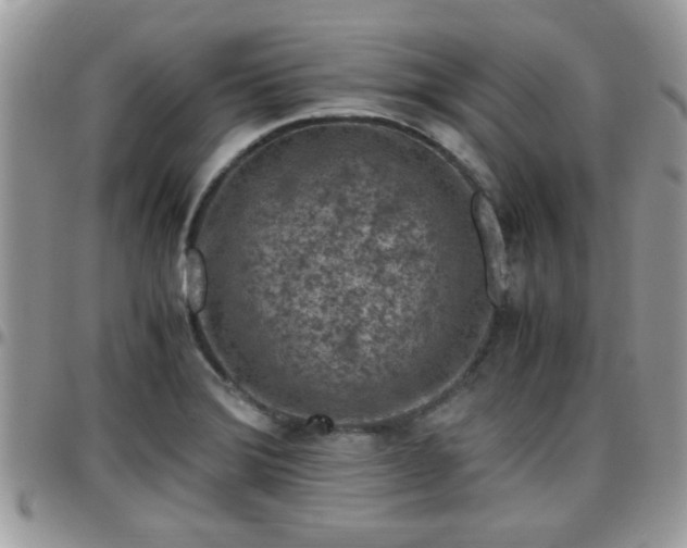 X0000095911372200801181346