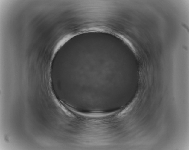 X0000095911373200801181346