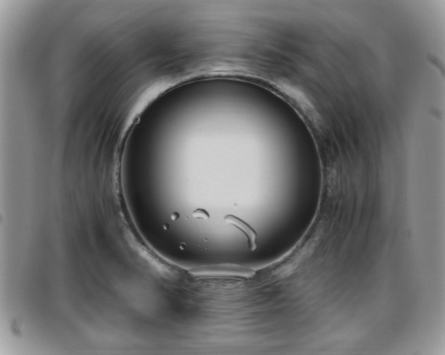 X0000095911374200801181346