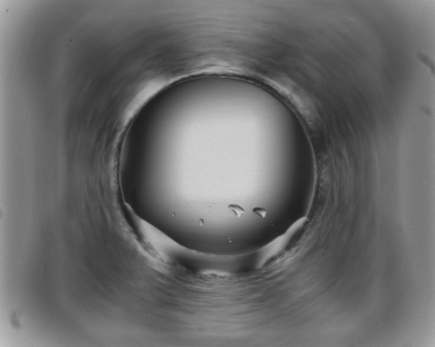 X0000095911375200801181346