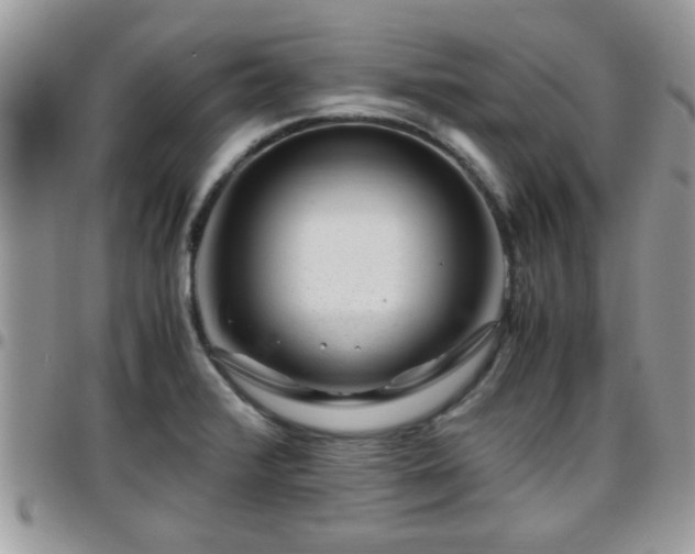 X0000095911376200801181346