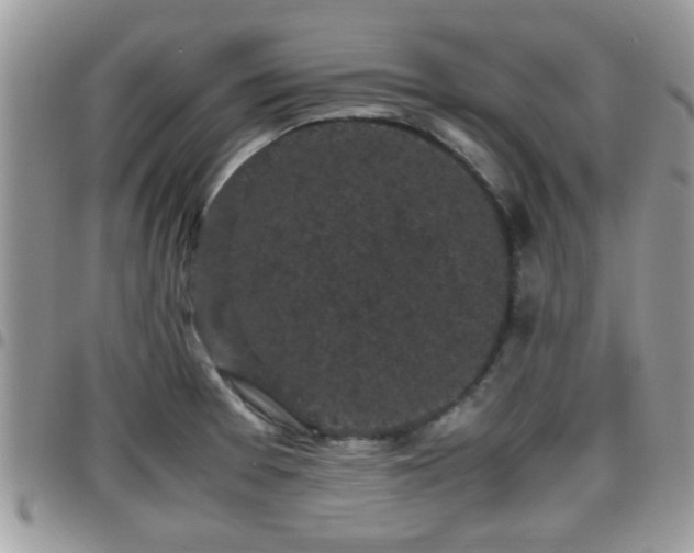 X0000095911377200801181346