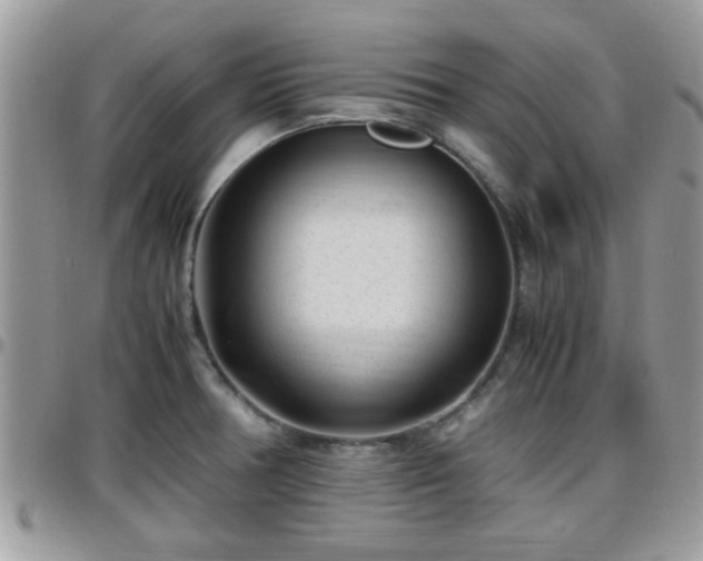 X0000095911378200801181346