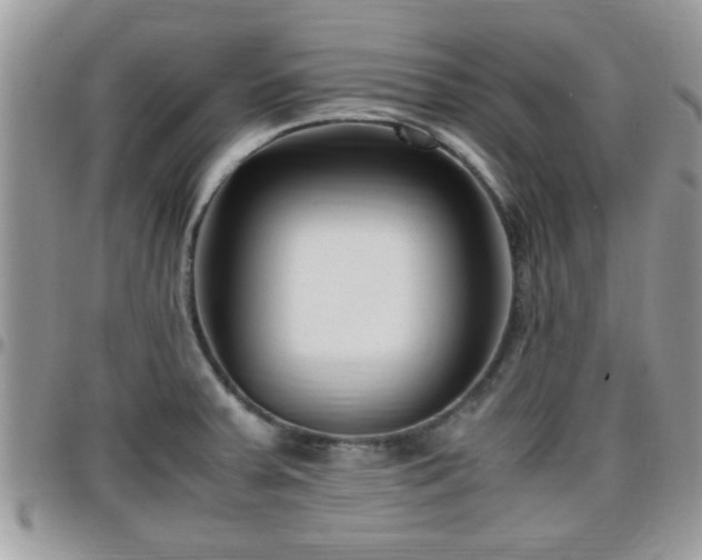 X0000095911379200801181346