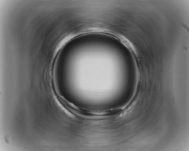 X0000095911381200801181346