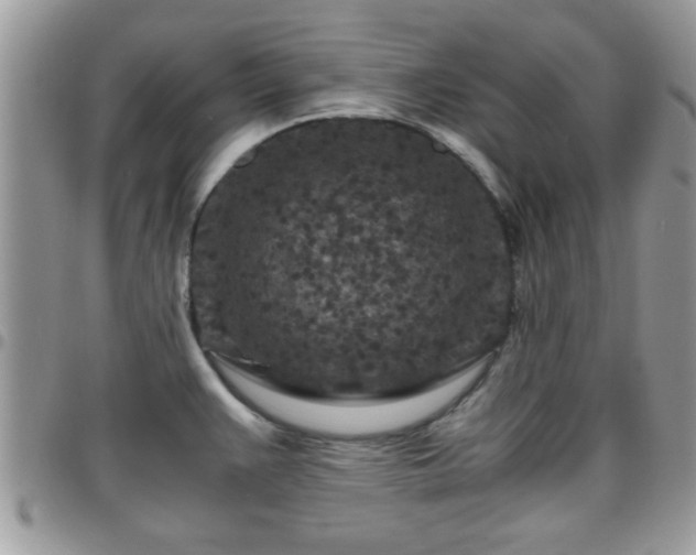 X0000095911383200801181346