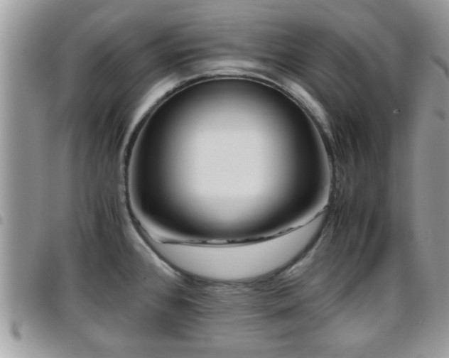 X0000095911384200801181346