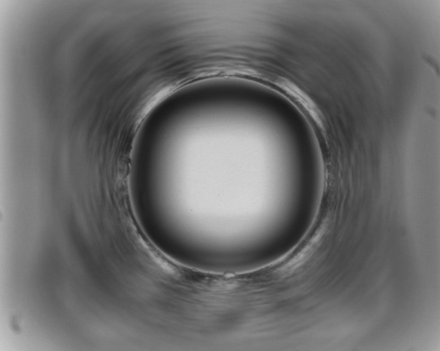 X0000095911385200801181346