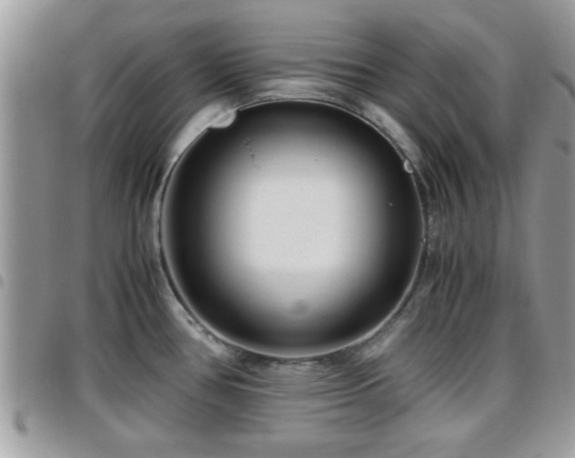 X0000095911386200801181346