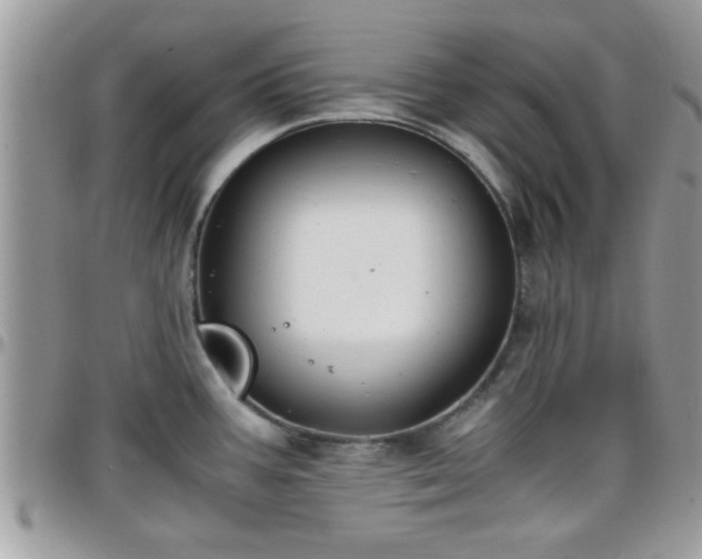 X0000095911387200801181346