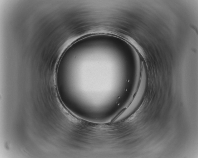 X0000095911388200801181346