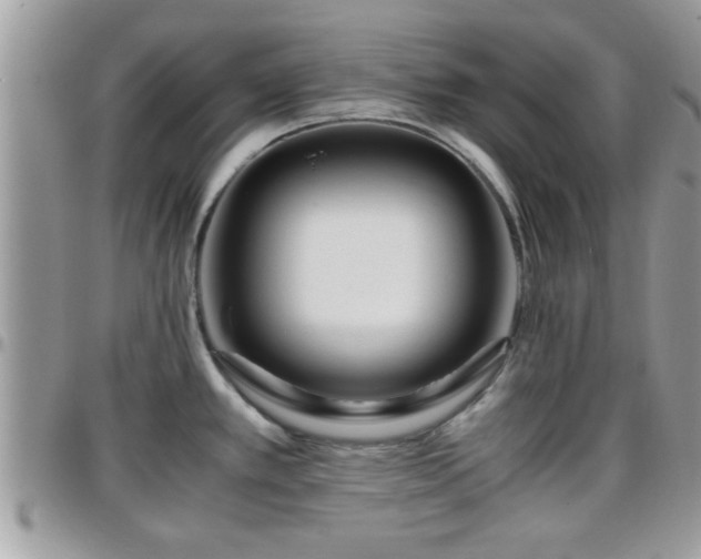 X0000095911389200801181346