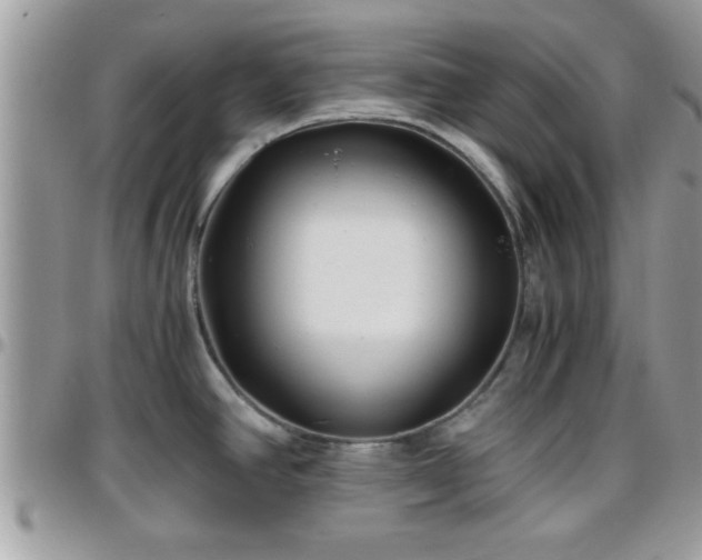 X0000095911390200801181346