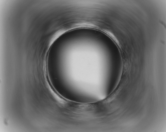 X0000095911391200801181346